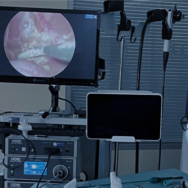 Cirurgia Minimamente Invasiva em Animais de Companhia
