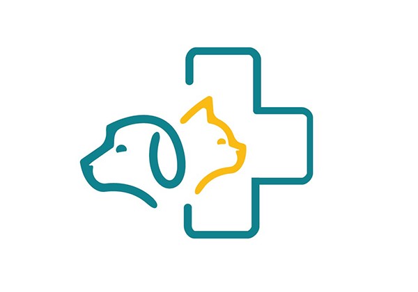 clinica-veterinaria-e-hospital-pecuario-ulusofona-aposta-no-cuidado-animal