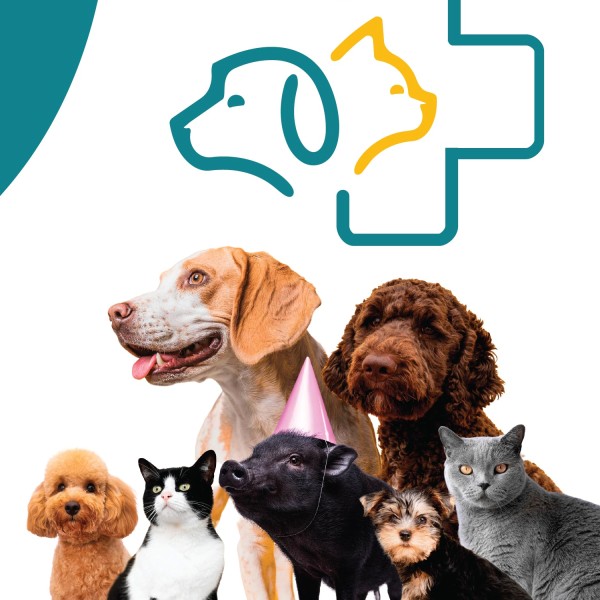 clinica-veterinaria-e-hospital-pecuario-ulusofona-aposta-no-cuidado-animal