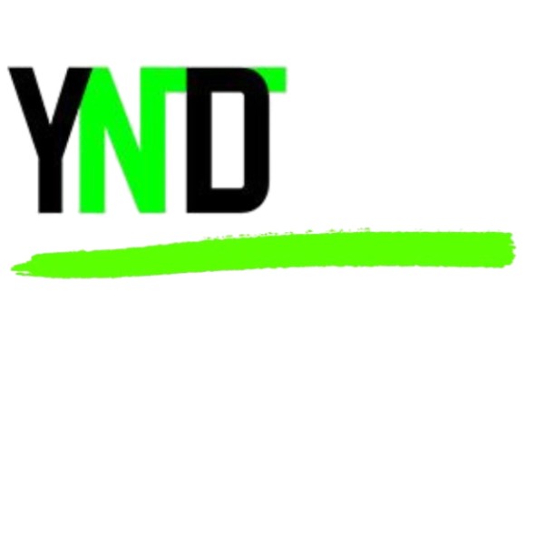 Conferência Final | Projeto YouNDigital (3)