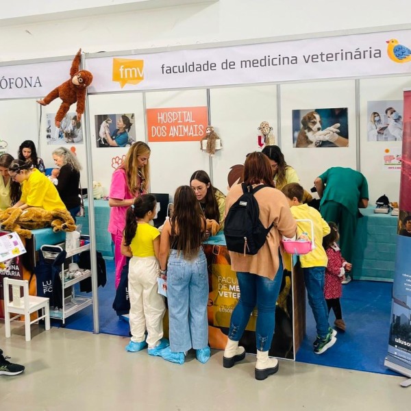 Faculdade de Medicina Veterinária da ULusófona participa no Hospital da Bonecada