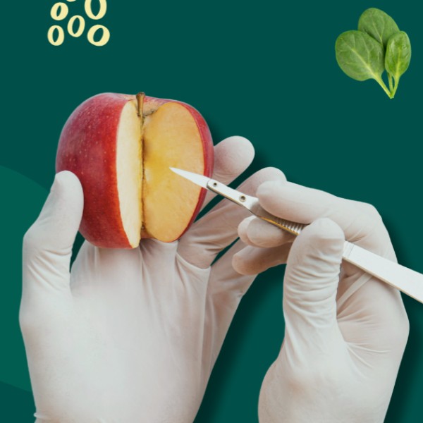 fraude-e-autenticidade-alimentar