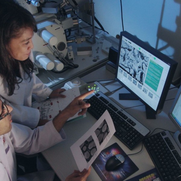 How to survive as a researcher and still have some fun