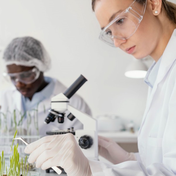 O que fazer depois do 1º Ciclo de Estudos?