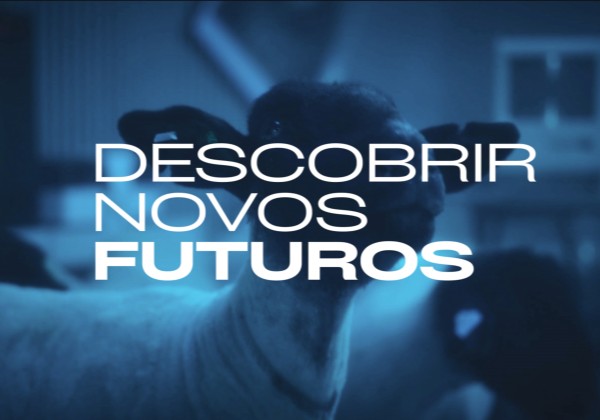 o-que-podem-ter-em-comum-ovelhas-um-estudio-e-um-campus