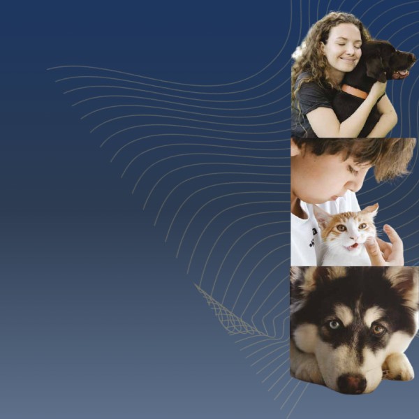 the-link-a-ligacao-entre-a-crueldade-contra-os-animais-e-a-violencia-domestica
