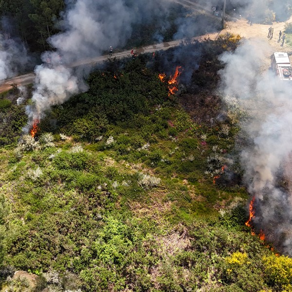 ulusofona-cup-coordena-programa-europeu-sobre-prevencao-de-incendios-rurais