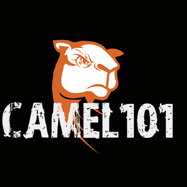 Camel 101