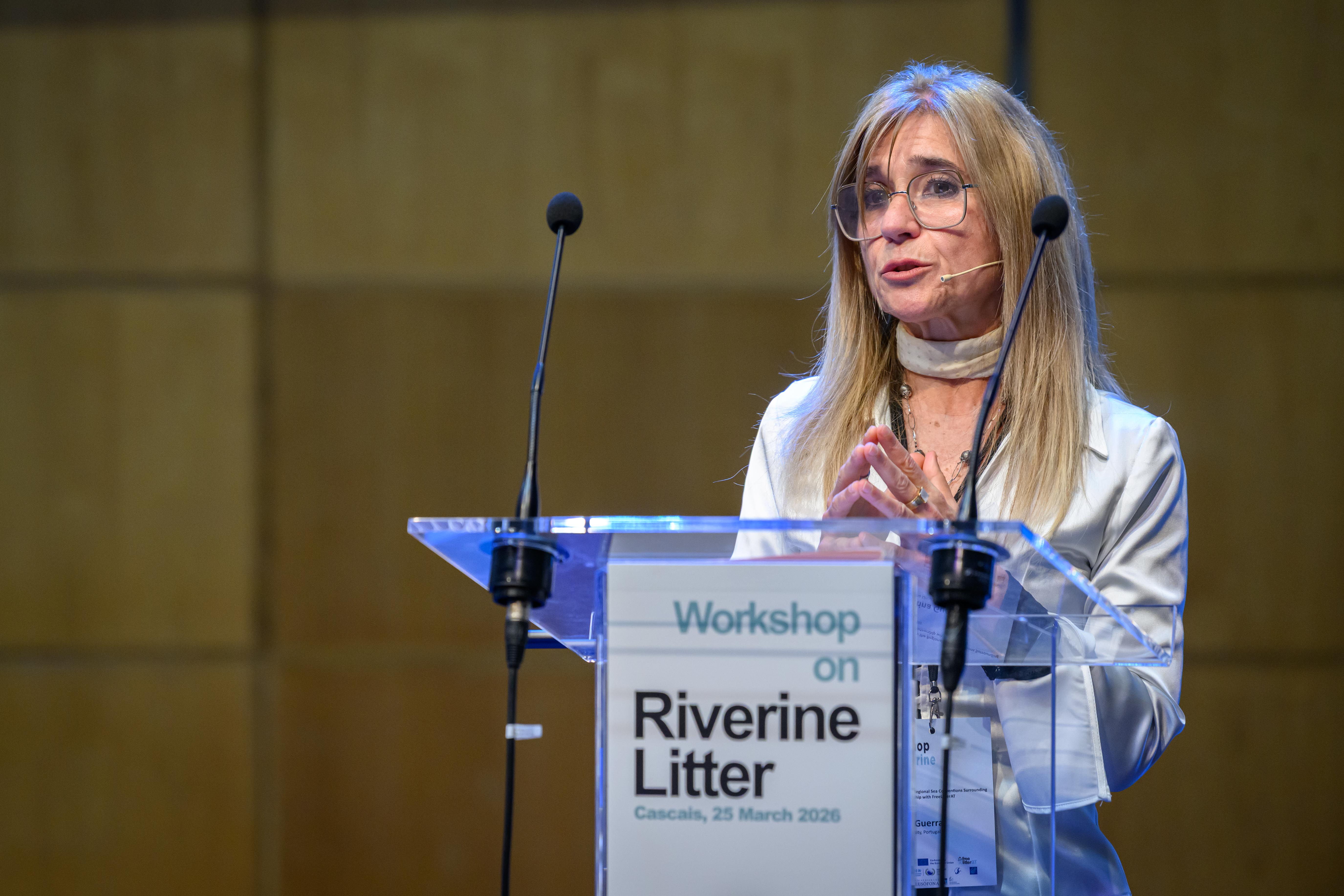 Cristina Guerra_Universidade Lusofona - Portugal