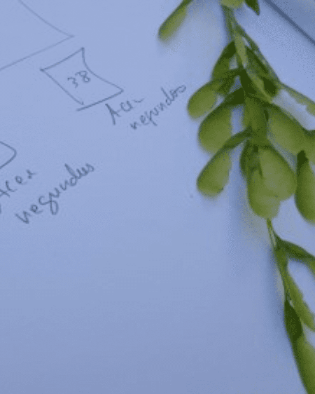 ULusófona Students Investigate Biodiversity on the University Campus