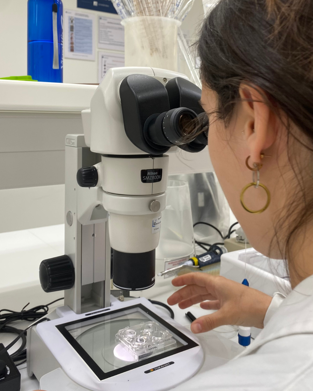 estudantes-da-ulusofona-testam-nova-tecnica-de-criopreservacao - 3