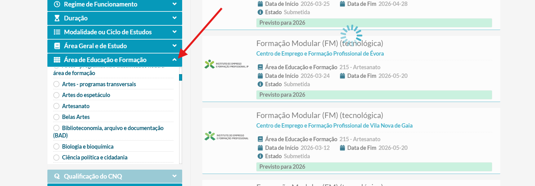 FAC - Consulta de area CNAEF - passo4