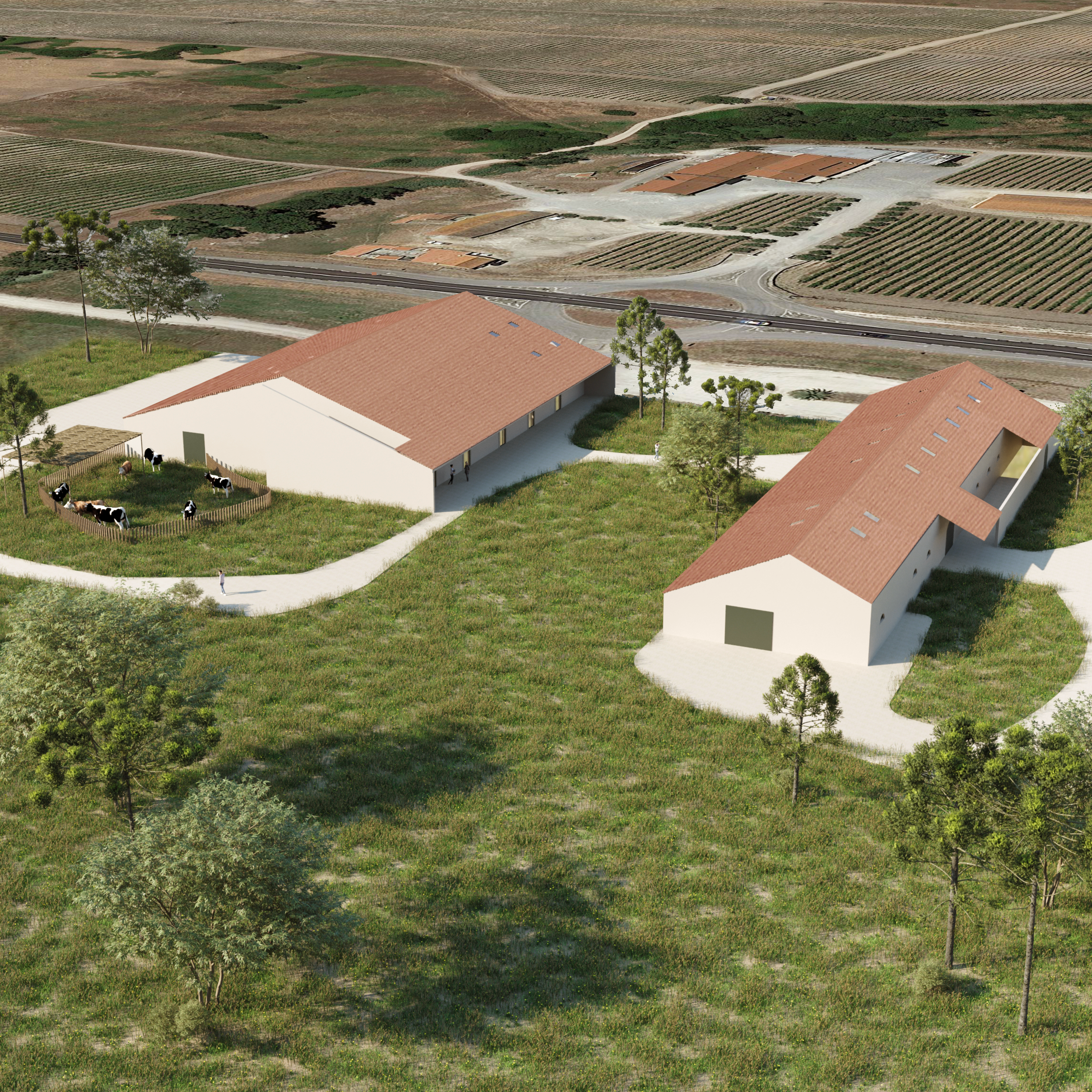 Hospital Catapereiro 2