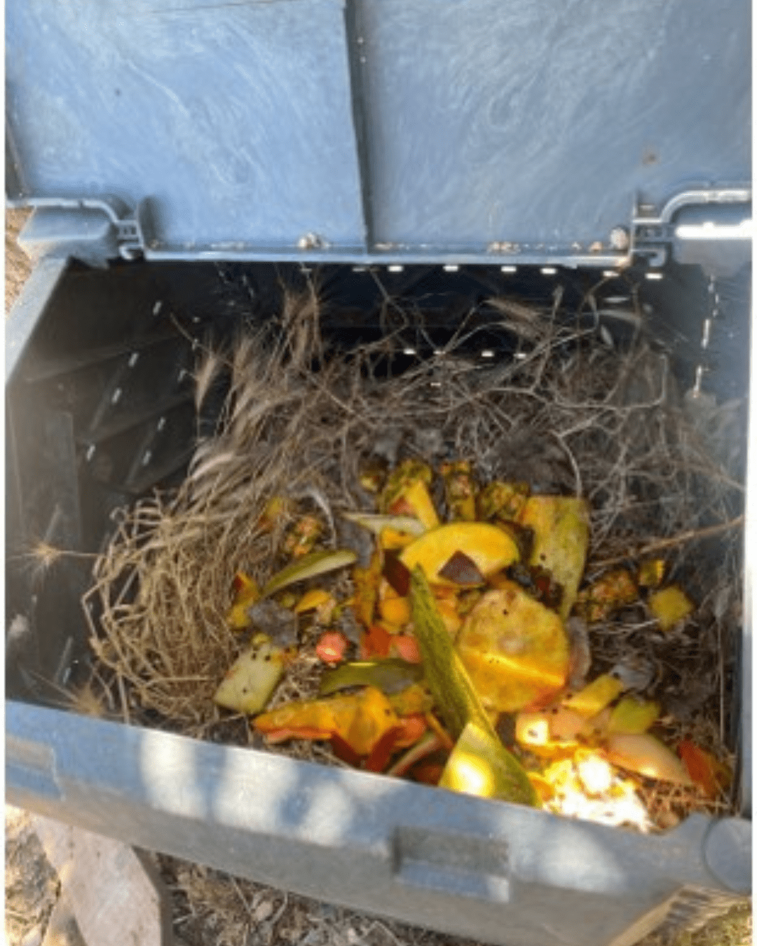 Composting Project at ULusófona