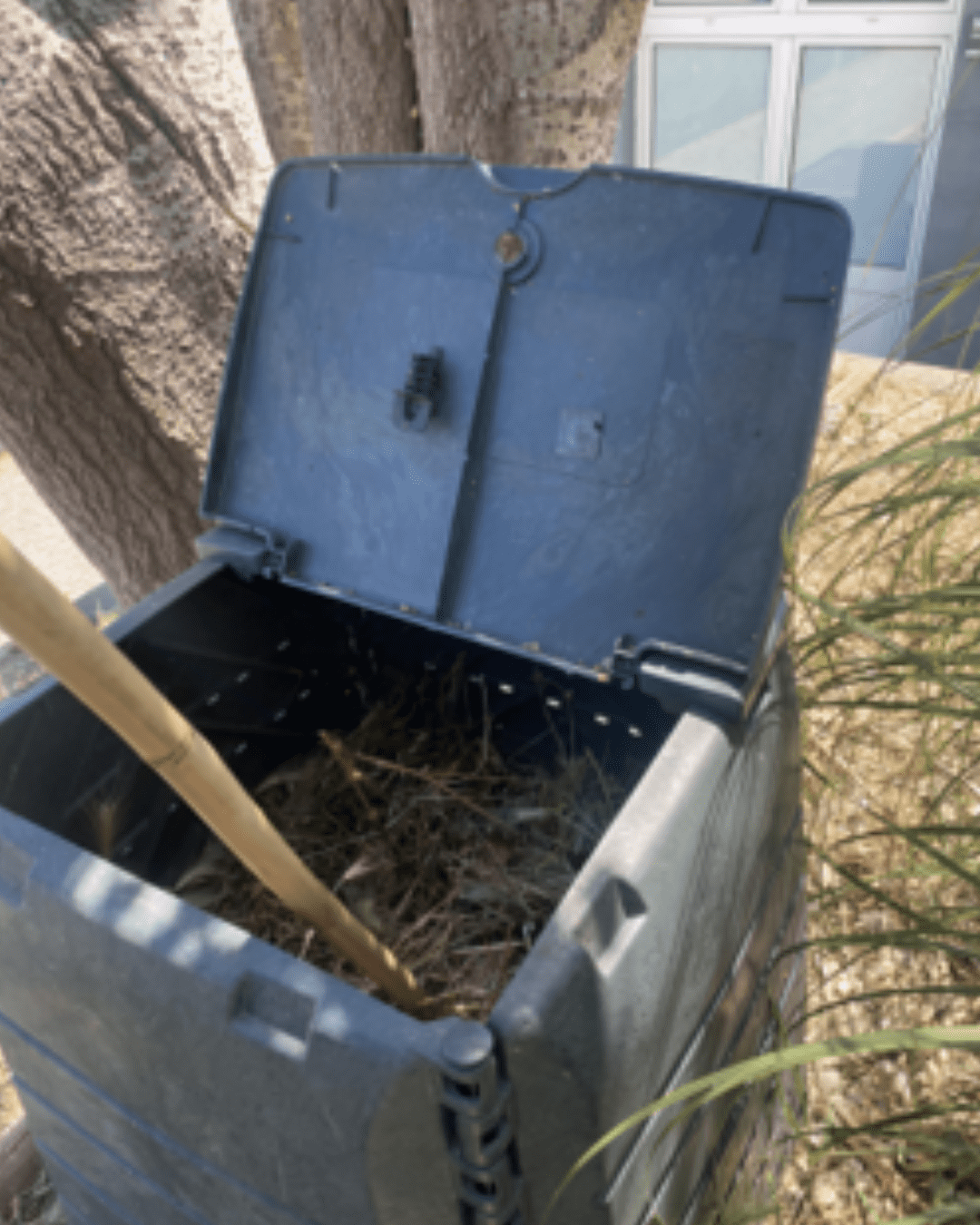 Composting Project at ULusófona