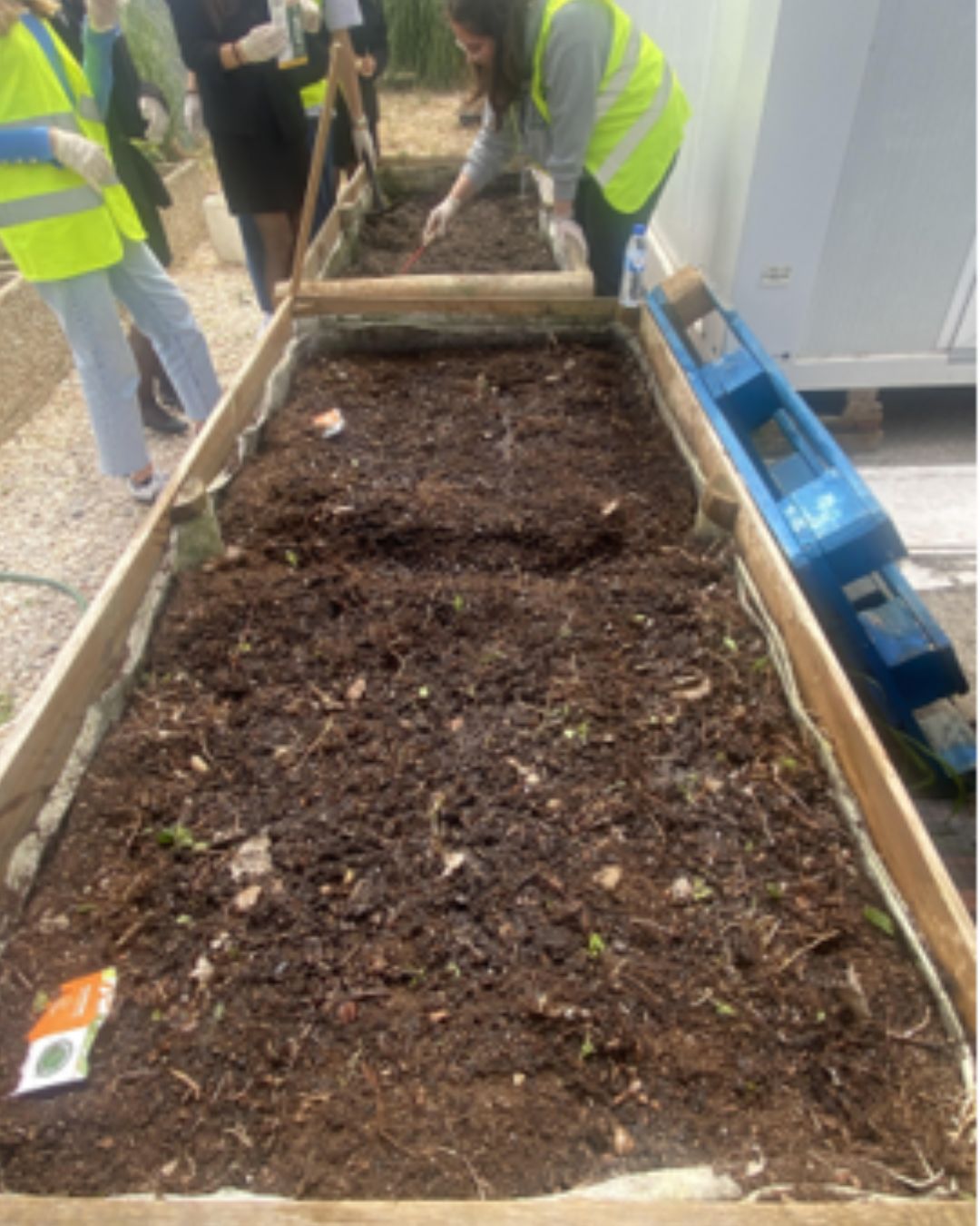Renovation of Lusófona University's Organic Vegetable Garden